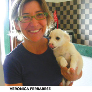 veronica-ferrarese